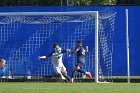 MSoc vs NEC  Wheaton College Men’s Soccer vs New England College. - Photo By: KEITH NORDSTROM : Wheaton, Soccer